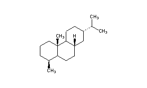 Fichtelite