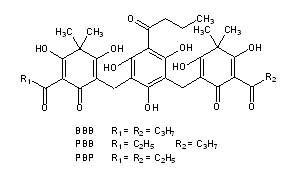 Filixic Acids