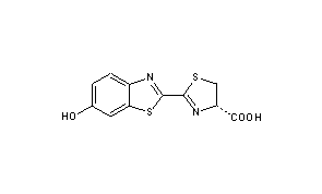 Firefly Luciferin