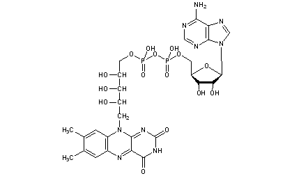 Flavine-Adenine Dinucleotide