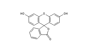 Fluorescein