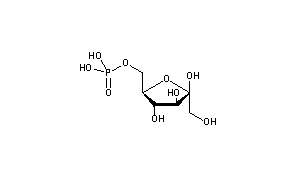 Fructose-6-phosphate