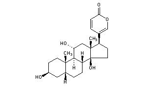 Gamabufotalin