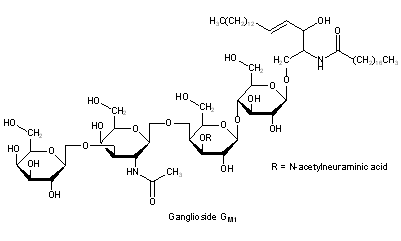 Gangliosides