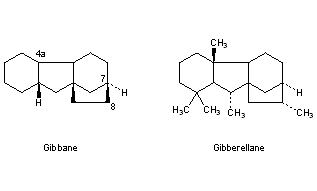 Gibberellins