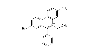 Homidium