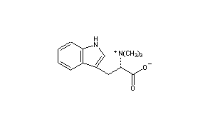 Hypaphorine