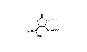 Kainic Acid