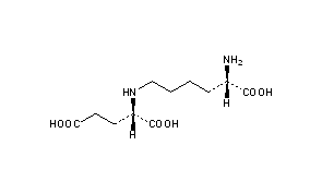 L-Saccharopine