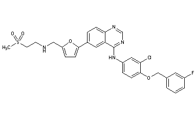 Lapatinib