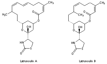 Latrunculins