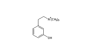 Leptodactyline