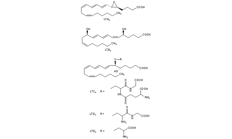 Leukotrienes