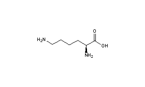 Lysine