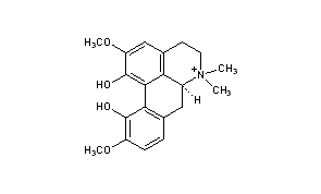 Magnoflorine