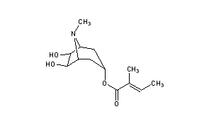 Meteloidine