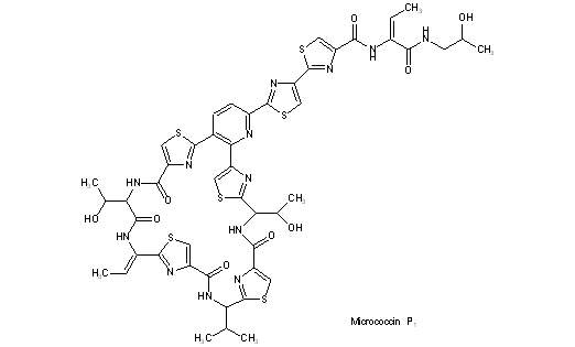 Micrococcin P