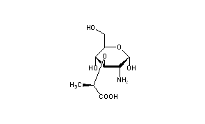 Muramic Acid