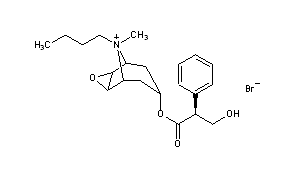 N-Butylscopolammonium Bromide