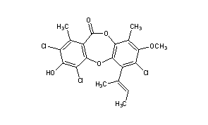 Nidulin