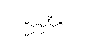 Norepinephrine