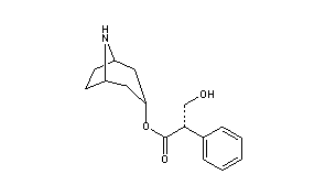 Norhyoscyamine