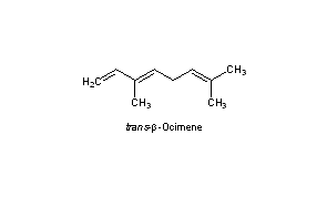 Ocimene