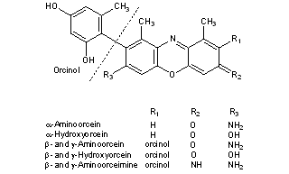 Orcein