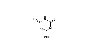 Orotic Acid