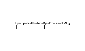 Oxytocin