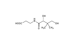 Pantothenic Acid