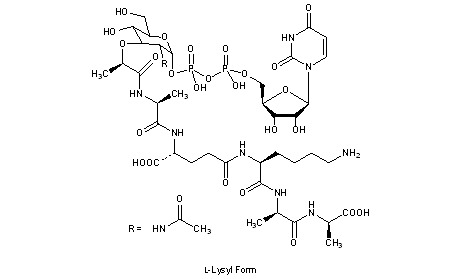 Park Nucleotide