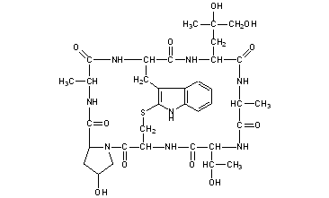 Phalloidin