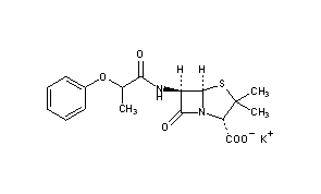 Phenethicillin Potassium