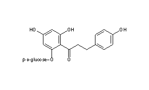 Phloridzin