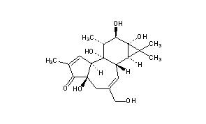 Phorbol