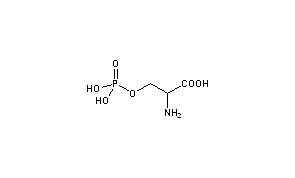 Phosphoserine