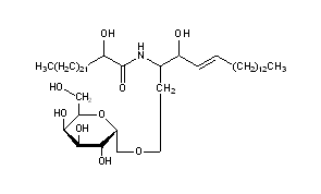 Phrenosin