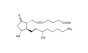 Prostaglandin E2