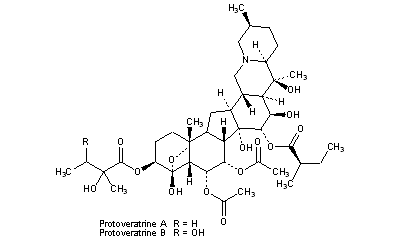 Protoveratrines