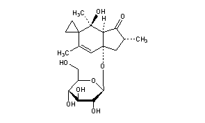 Ptaquiloside