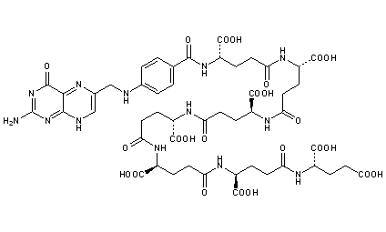 Pteroylhexaglutamylglutamic Acid