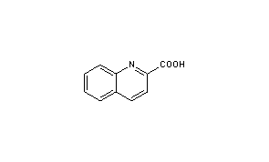 Quinaldic Acid