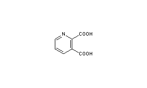 Quinolinic Acid