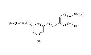 Rhapontin