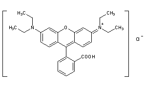 Rhodamine B