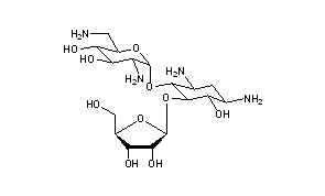 Ribostamycin