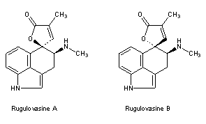 Rugulovasines