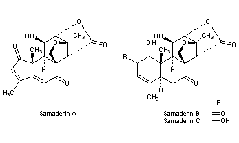 Samaderins