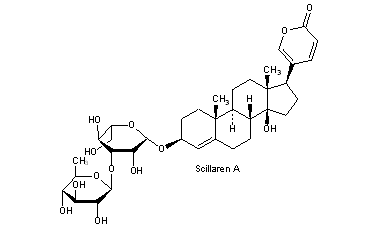 Scillaren